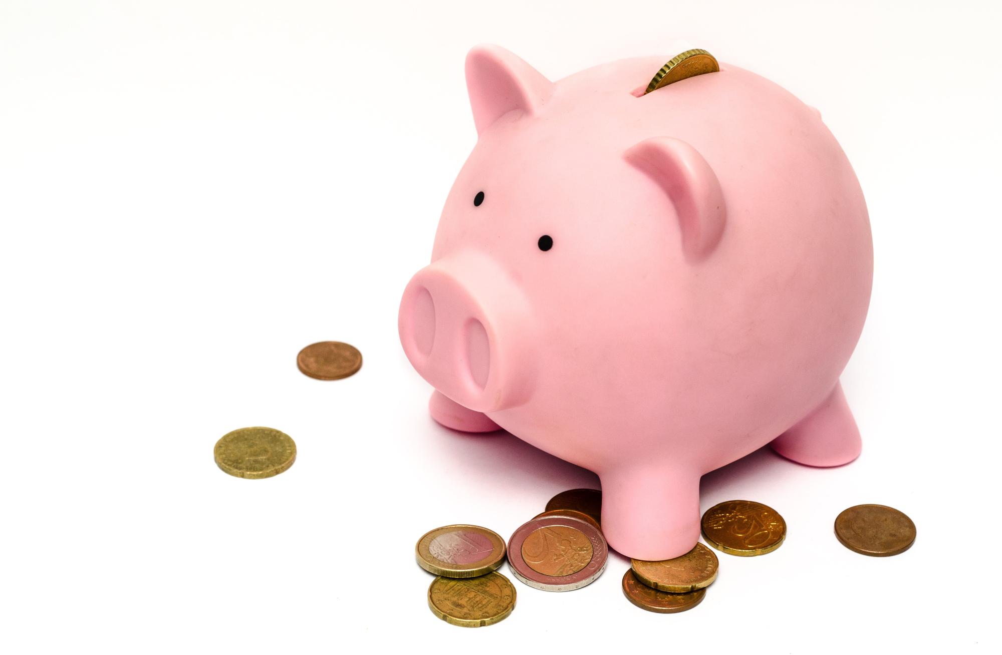 Savings piggy